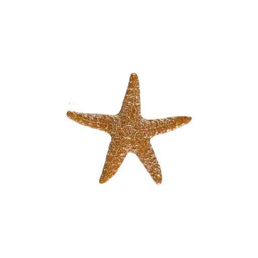 Starfish-5in-brown