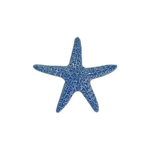 Starfish-5in--light-blue