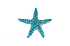 Starfish-5in-aqua