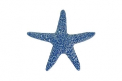 Starfish-5in--light-blue