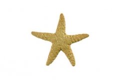 Starfish-5in-tan