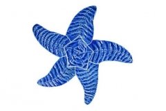 Starfish-9in-blue