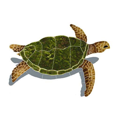 Sea-Turtle-Natural-small-sh