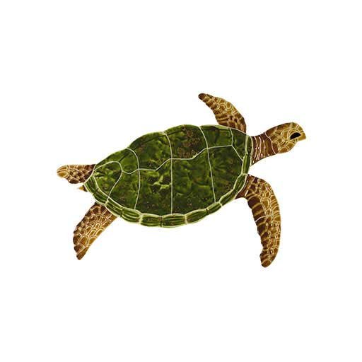 Sea-Turtle-Natural-small