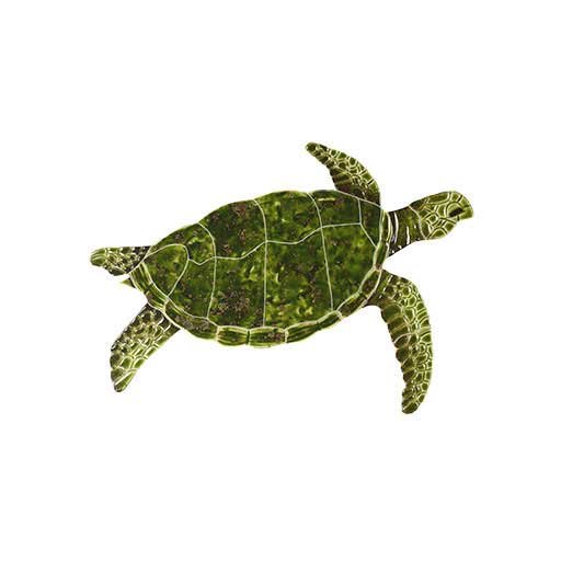 Sea-Turtle-green-small