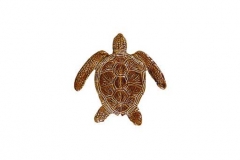 Loggerhead-6in-brown