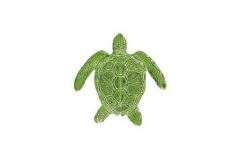 Loggerhead-6in-green