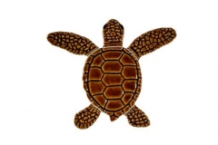 Loggerhead-baby-brown-B