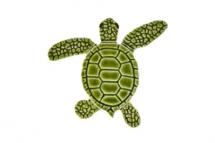 Loggerhead-baby-green-A