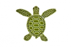 Loggerhead-baby-green-B