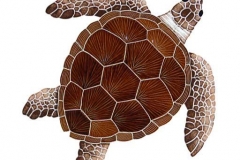 Loggerhead-large-brown