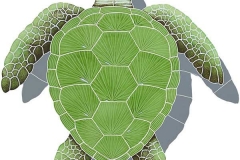Loggerhead-lg-shadow-2014