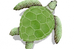 Loggerhead-medium-green-wit