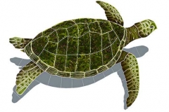 Sea-Turtle-Green-medium-sha