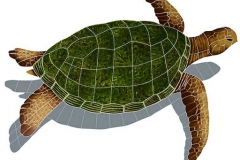 Sea-Turtle-Natural-Large-sh