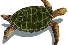 Sea-Turtle-Natural-medium-s