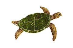Sea-Turtle-Natural-small