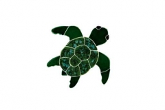 Turtle-Topview-baby-green