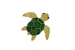 Turtle-Topview-baby-natural