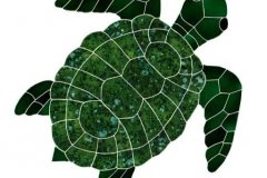 Turtle-Topview-large-green