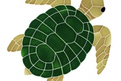 Turtle-Topview-large-natura