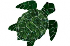 Turtle-Topview-medium-green
