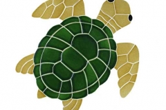 Turtle-Topview-medium-natur