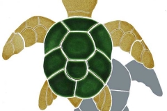 Turtle,-shad-tv-baby-natura