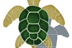 Turtle-shad-tv-sm-natural